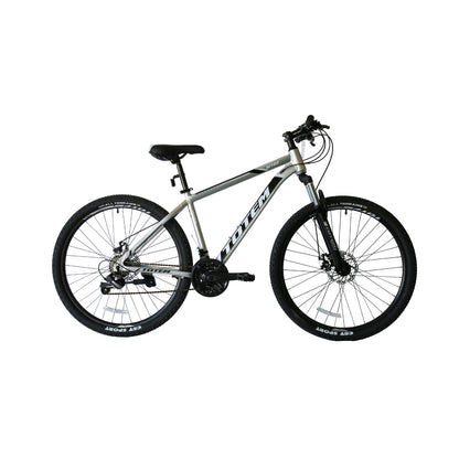 BICICLETA TOTEM MTB ARO 29*17 MOD W760 COLOR PLATEADO