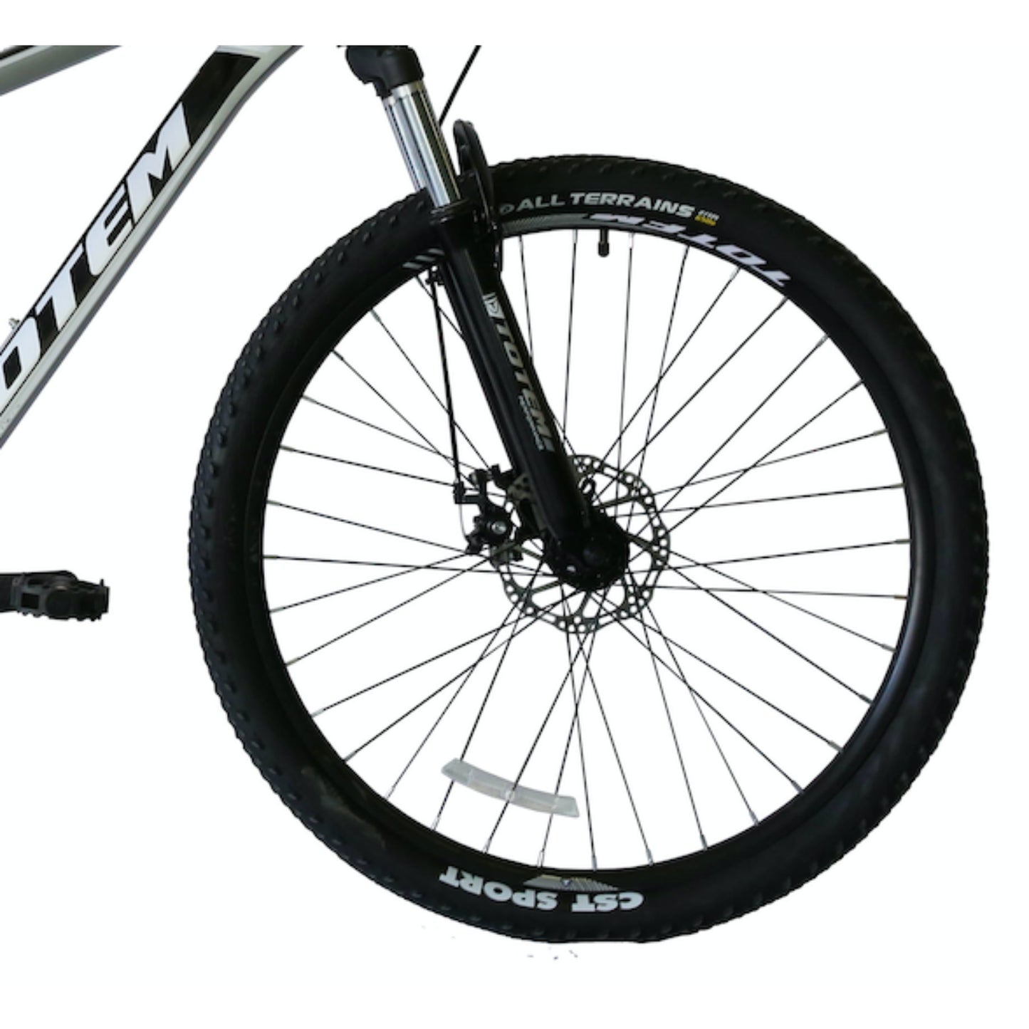 BICICLETA TOTEM MTB ARO 29*17 MOD W760 COLOR PLATEADO