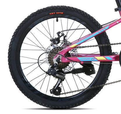 BICICLETA TOTEM MTB ARO 20 MODELO 1100 ROSADO