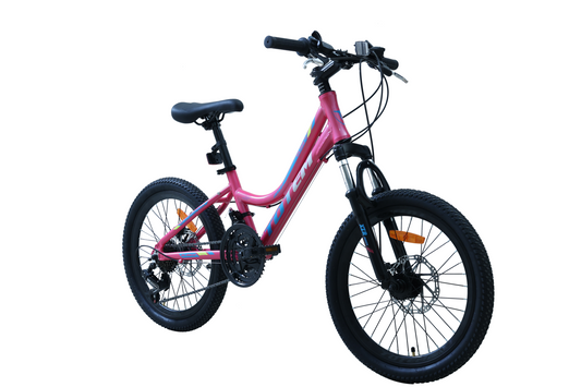 BICICLETA TOTEM MTB ARO 20 MODELO ELISE ROSADA