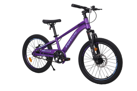 BICICLETA TOTEM MTB ARO 20 MODELO LYRA VIOLETA