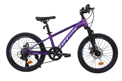 BICICLETA TOTEM MTB ARO 20 MODELO SAILING MORADO