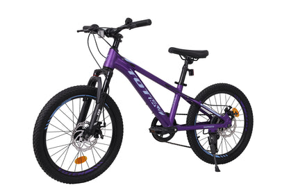 BICICLETA TOTEM MTB ARO 20 MODELO SAILING MORADO