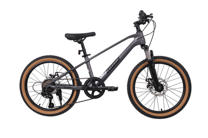 BICICLETA TOTEM MTB ARO 20 MODELO SPARK MAGNESIO Gris