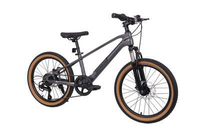 BICICLETA TOTEM MTB ARO 20 MODELO SPARK MAGNESIO Gris