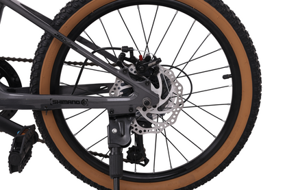 BICICLETA TOTEM MTB ARO 20 MODELO SPARK MAGNESIO Gris