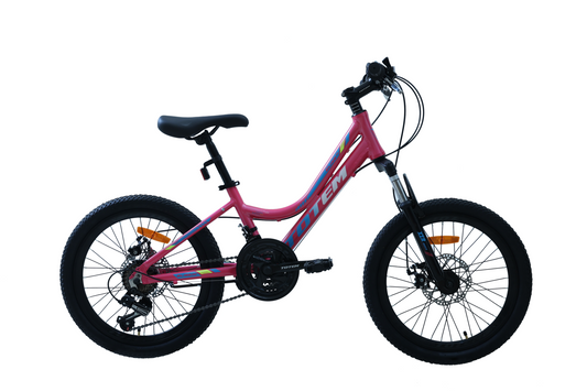 BICICLETA TOTEM MTB ARO 20 MODELO ELISE ROSADA