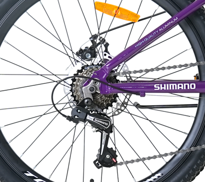 BICICLETA TOTEM MTB ARO 24 MODELO SITARA MORADO