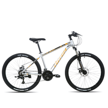 BICICLETA TOTEM MTB ARO 26  MODELO T100 COLOR PLATEADO