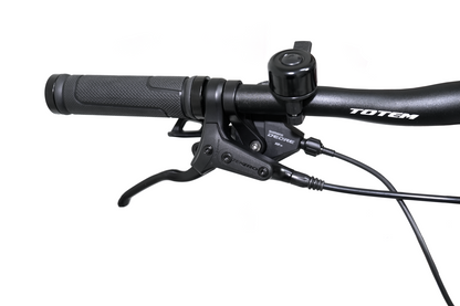 BICICLETA TOTEM MTB CARBONO PEGASUS ARO 29X16 ROJO