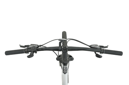 BICICLETA TOTEM MTB ARO 29*17 MOD W760 COLOR PLATEADO