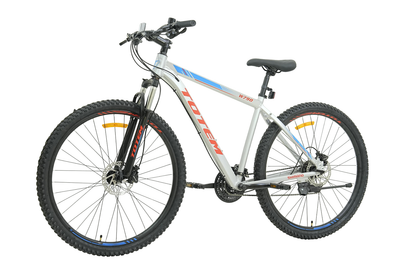 BICICLETA TOTEM MTB W790 ARO 29 TALLA 19 COLOR PLATEADO