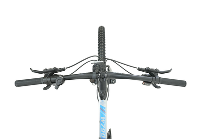 BICICLETA TOTEM MTB W790 ARO 29 TALLA 19 COLOR PLATEADO