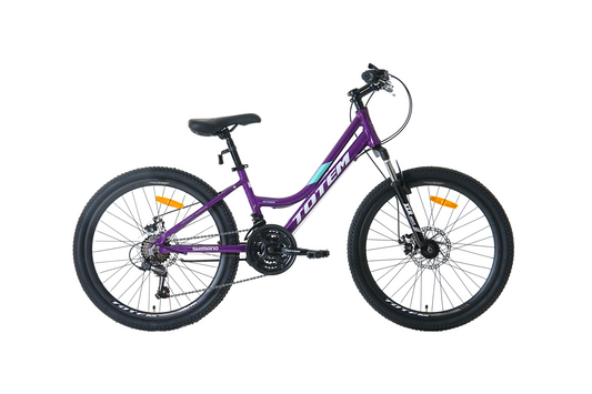 BICICLETA TOTEM MTB ARO 24 MODELO SITARA MORADO