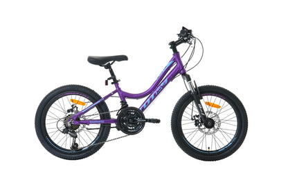 BICICLETA TOTEM MTB ARO 20 MODELO ELISE MORADO