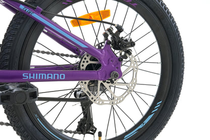 BICICLETA TOTEM MTB ARO 20 MODELO ELISE MORADO