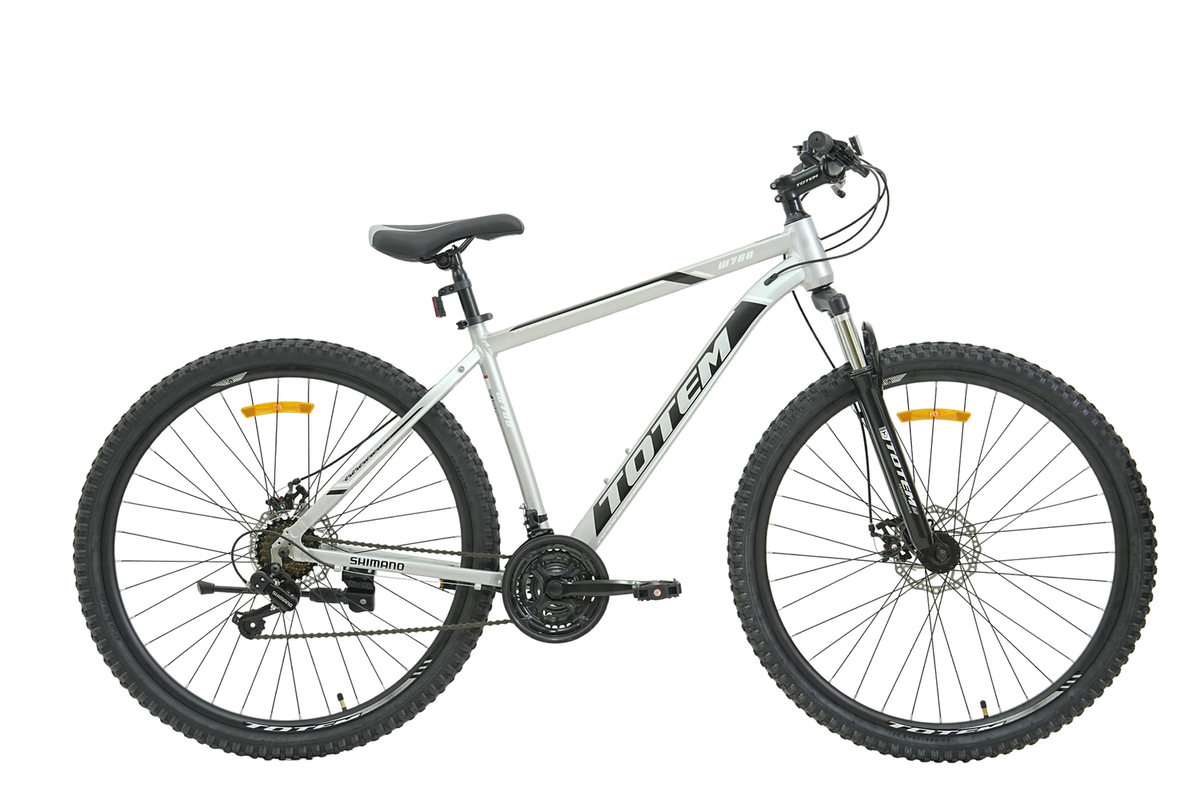 BICICLETA TOTEM MTB ARO 29*17 MOD W760 COLOR PLATEADO
