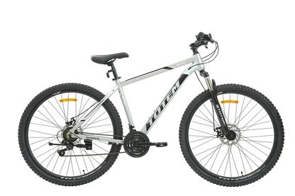 BICICLETA TOTEM MTB ARO 29*17 MOD W760 COLOR PLATEADO
