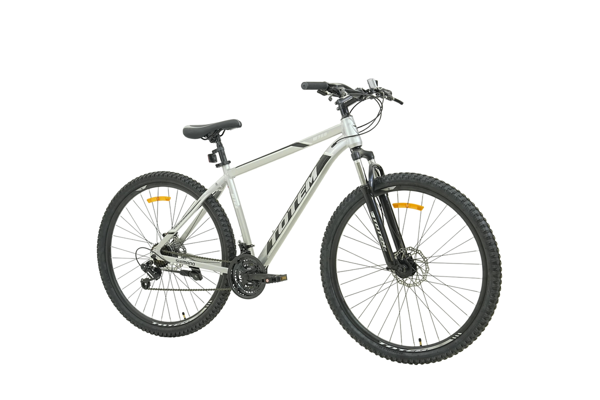 BICICLETA TOTEM MTB ARO 29*17 MOD W760 COLOR PLATEADO