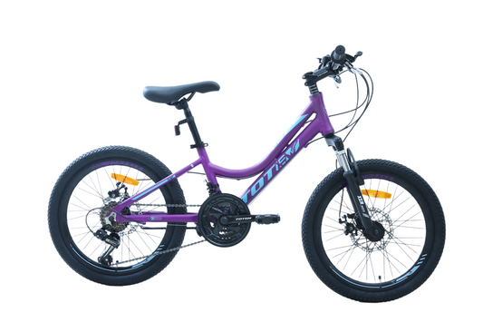 BICICLETA TOTEM MTB ARO 20 MODELO ELISE MORADO