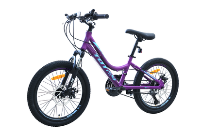 BICICLETA TOTEM MTB ARO 20 MODELO ELISE MORADO
