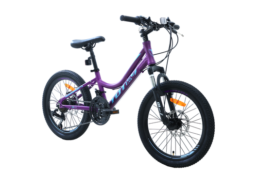 BICICLETA TOTEM MTB ARO 20 MODELO ELISE MORADO