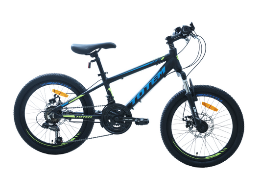 BICICLETA TOTEM MTB ARO 20 MODELO STORM NEGRO
