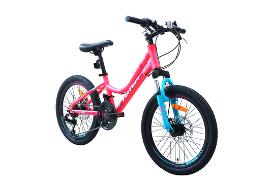 BICICLETA TOTEM MTB ARO 20 MODELO ELISE FUCSIA