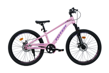 BICICLETA TOTEM MTB ARO 24 LYRA COLOR ROSADO