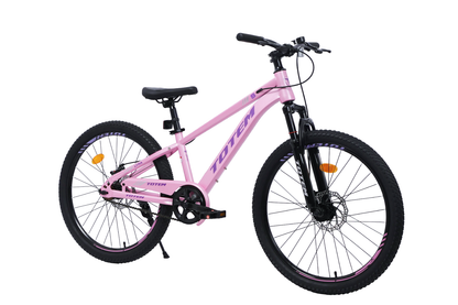 BICICLETA TOTEM MTB ARO 24 LYRA COLOR ROSADO