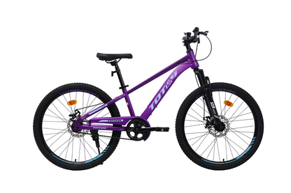 BICICLETA TOTEM MTB ARO 24 LYRA COLOR MORADO