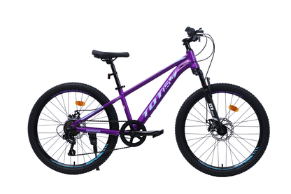 BICICLETA TOTEM MTB ARO 24 SAILING NOVA  COLOR MORADO