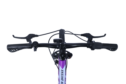 BICICLETA TOTEM MTB ARO 24 SAILING NOVA  COLOR MORADO