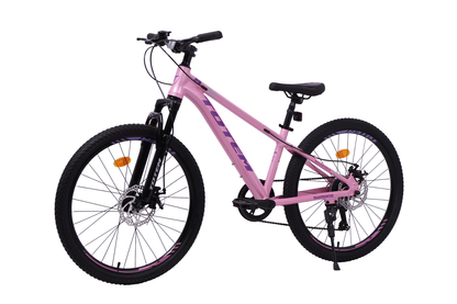 BICICLETA TOTEM MTB ARO 24 SAILING NOVA  COLOR ROSADO