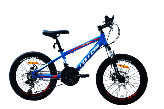 BICICLETA TOTEM MTB ARO 20 MODELO STORM AZUL