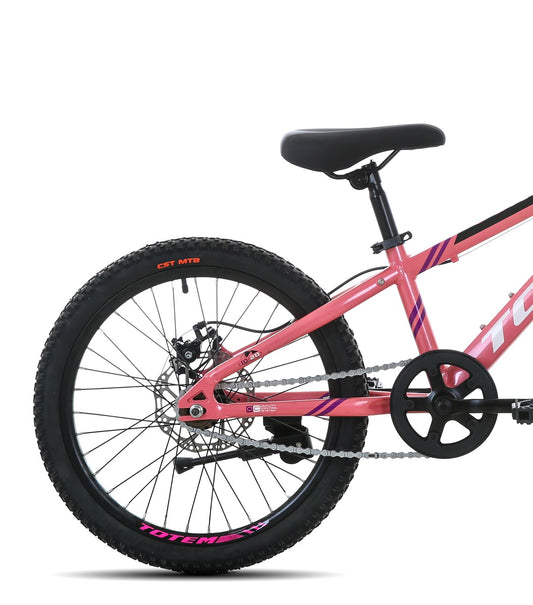 BICICLETA TOTEM MTB ARO 20 SUNSHINE COLOR ROSADA