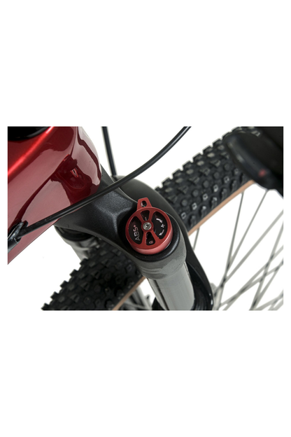 BICICLETA TOTEM MTB CARBONO PEGASUS ARO 29X16 ROJO